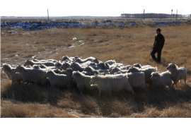 鄱阳企业清欠服务